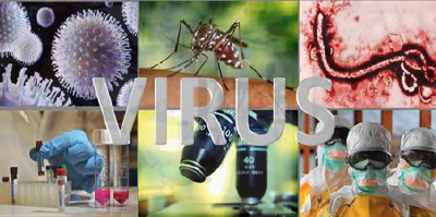 Universidad Nacional de Educación a Distancia (UNED) Curso de Virus Emergentes, del 3 de diciembre de 2018 al 31 de mayo de 2019